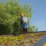 Polievanie vegetačnej strechy